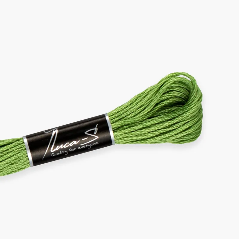 Offerta a tempo limitato | Cotone intrecciato Luca-S - 280 / DMC 704 / Anchor X