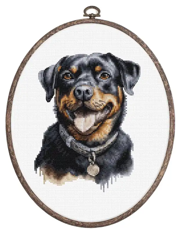 Kit punto croce con telaio incluso Luca-S - Rottweiler, BC229 - Ultima occasione
