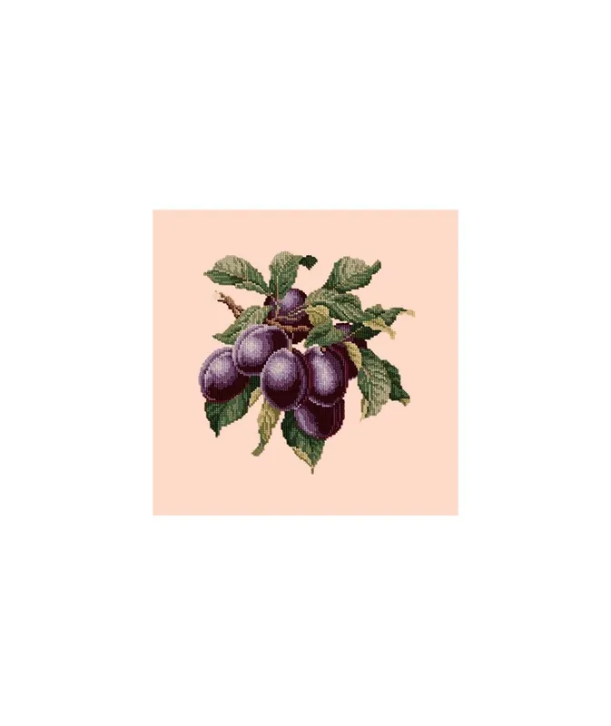 Elizabeth Bradley, Botanical Fruits, PLUMS - 16x16 pollici - Grande affare