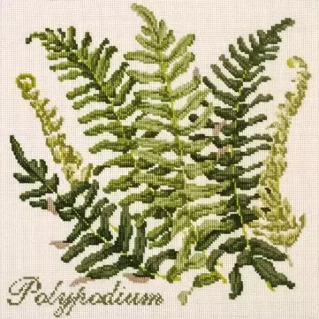 Acquista oggi - Elizabeth Bradley, Shade Garden, POLYPODIUM - 16x16 pollici