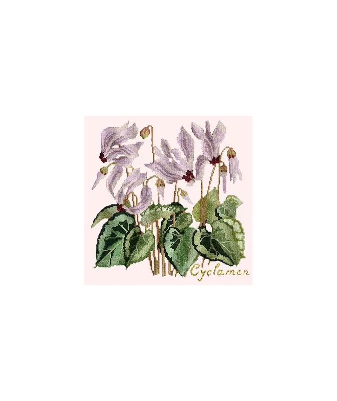 Offerta del giorno - Elizabeth Bradley, Botanical Garden, CYCLAMEN - 16x16 pollici