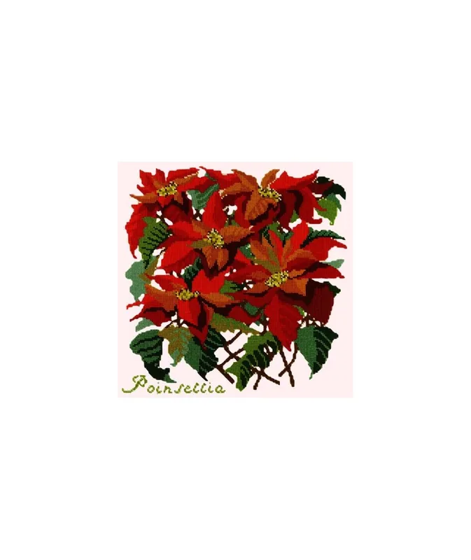 Elizabeth Bradley, Botanical Garden, POINSETTIA - 16x16 pollici - Tra i preferiti