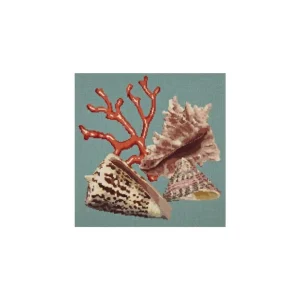 Affare - Elizabeth Bradley, Shells, RED CORAL - 16x16 pollici