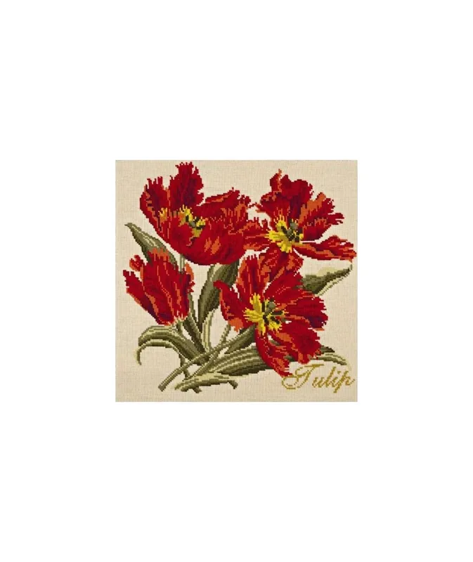 Qualità garantita | Elizabeth Bradley, Cottage Garden, TULIP - 16x16 pollici