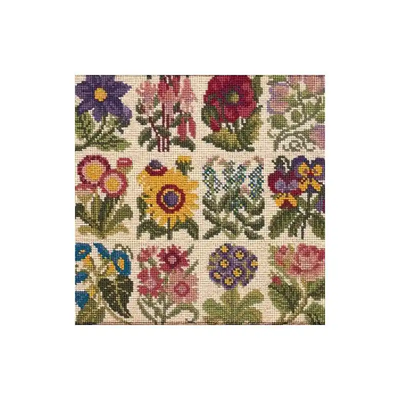 Elizabeth Bradley, Floribunda, COTTAGE GARDEN FAVOURITES - 12x12 pollici - In pronta consegna