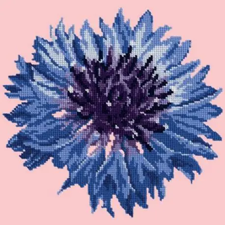Elizabeth Bradley, Blooms, CORNFLOWER - 12x12 pollici - Grande sconto