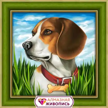 Beagle | Pagamenti sicuri