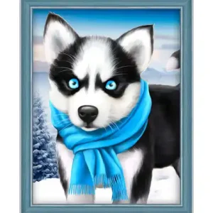 Disponibile ora | Blue Eye Husky