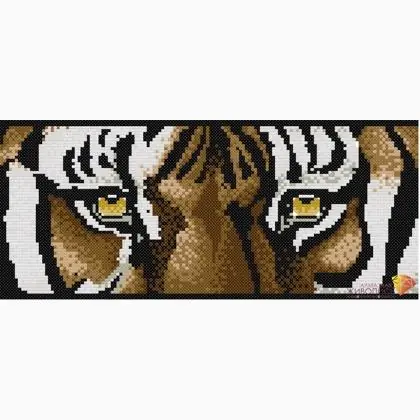 Acquista online | Tiger eyes