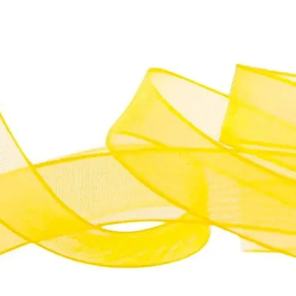 Nuovo in catalogo - Nastro Organza con bordi rinforzati 10mm - Giallo