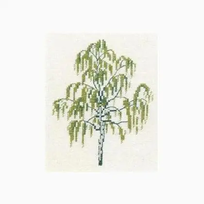 Birch | Pochi pezzi rimasti