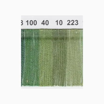 Consegna veloce | Danish Flower Thread 223