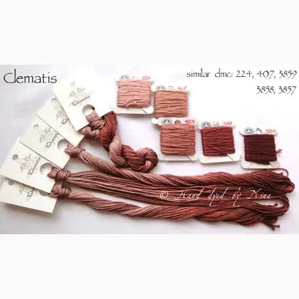 Acquista online - Clematis