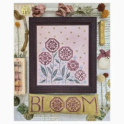 Blooming Quakers | Nuovo lancio