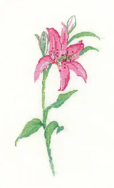 Imperdibile | Pink Lily