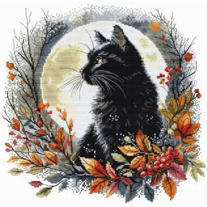 The Night Cat | Nuovo prodotto