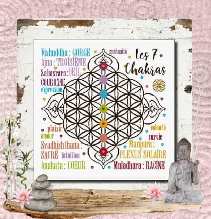 Les 7 Chakras - Novità