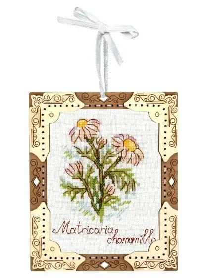 Miniature - Camomilla - Ordina subito