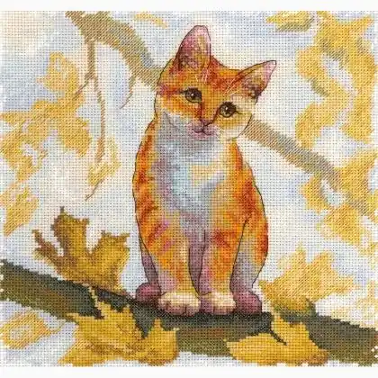 Premium - Soffice Gatto Rosso