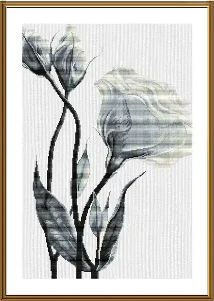 Super offerta | Fiori bianchi dell‘amore