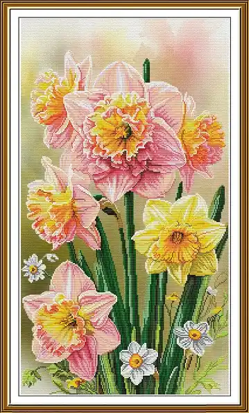 Narcisi soleggiati | Svendita