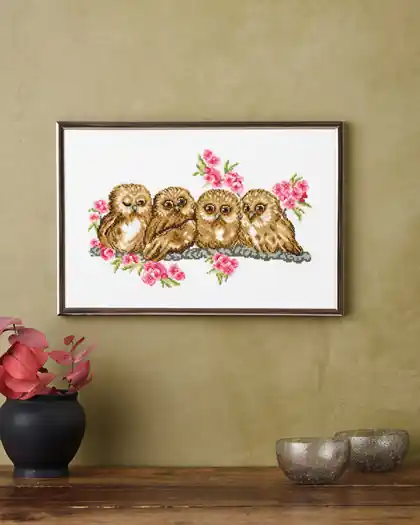 Qualità garantita - Owls