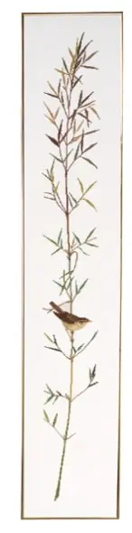 Risparmio extra - Striscia Cannareccione I