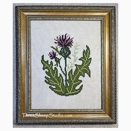 Scottish Thistle - Nuovo prodotto
