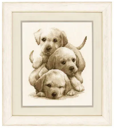 Cuccioli di Labrador | Ordina online