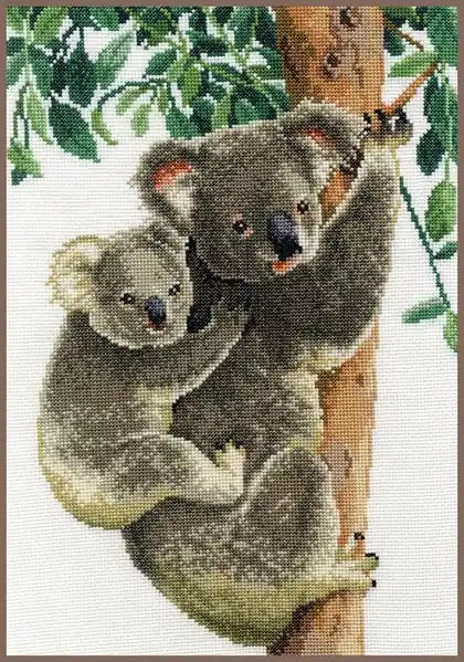 Disponibile ora - Koala col piccolo