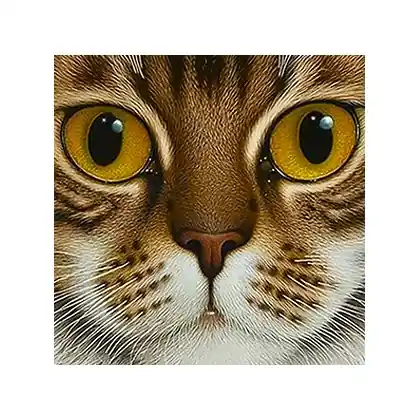 Copper-Eyed Cat | Spedizione espressa