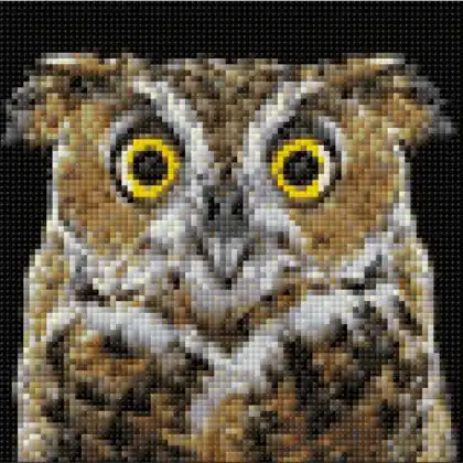 Curious Owl | Ordina oggi