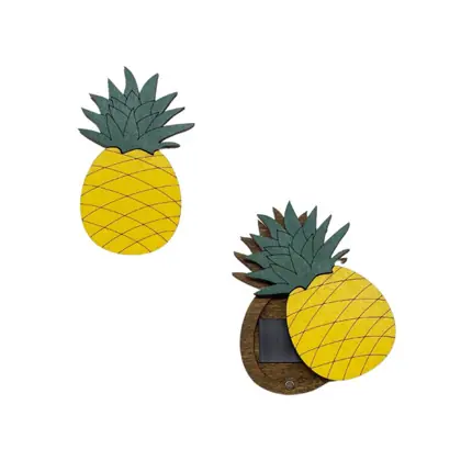 Consegna rapida | Porta-aghi - Ananas